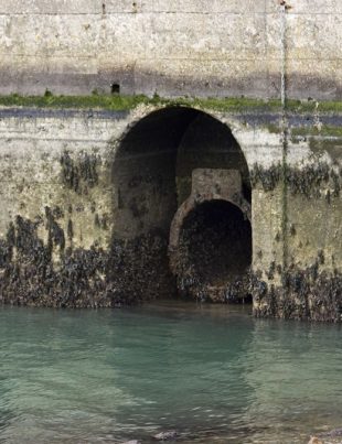 Agua y drenaje