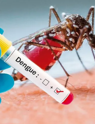 dengue