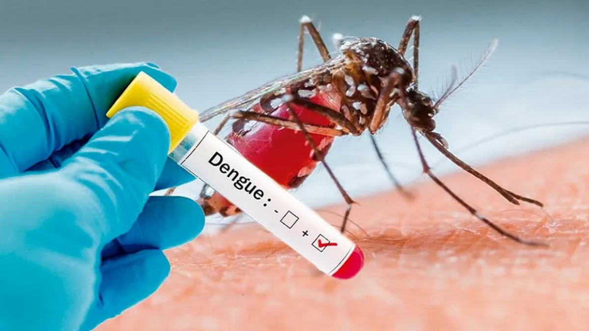 Dengue - Glen Facturero