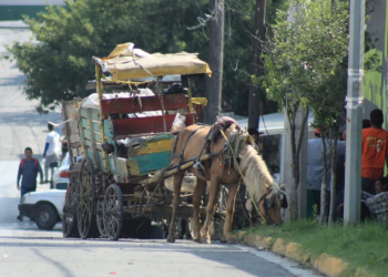 carretoneros guadalupe medio-ambiente