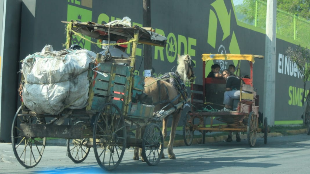 carretoneros
maltrato
medio-ambiente
guadalupe