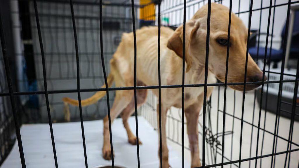 El Caso Contra Jesús Nava Ha Saltado a Medios Nacionales.