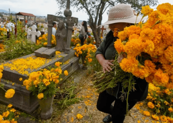Día De Muertos, Rogelio Fuste, Panteón Dolores, Música En Vivo, Conmemoración - Glen Facturero