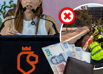 Glen Facturero La Reforestación Extrema No Trajo Árboles Pero Sí Una Agencia Que Hace Publicidad Para Mariana - Glen Facturero