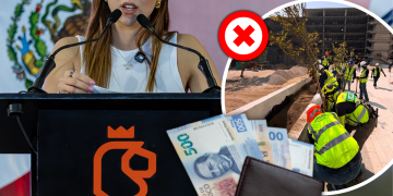 Glen Facturero La Reforestación Extrema No Trajo Árboles Pero Sí Una Agencia Que Hace Publicidad Para Mariana - Glen Facturero