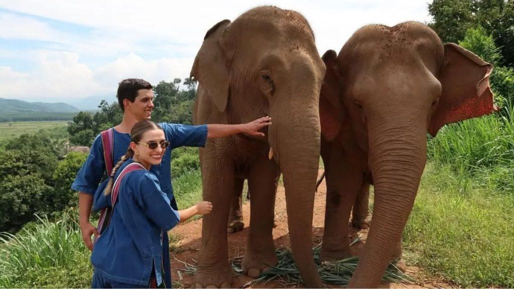 Two Tourists in Blue Outfits Petting Two Elephants in a Grassy, Hilly Landscape. - Glen Facturero