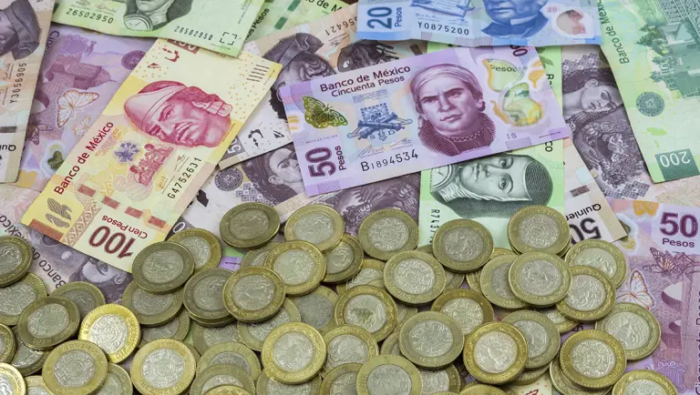 Inversiones En Nuevo León - Glen Facturero