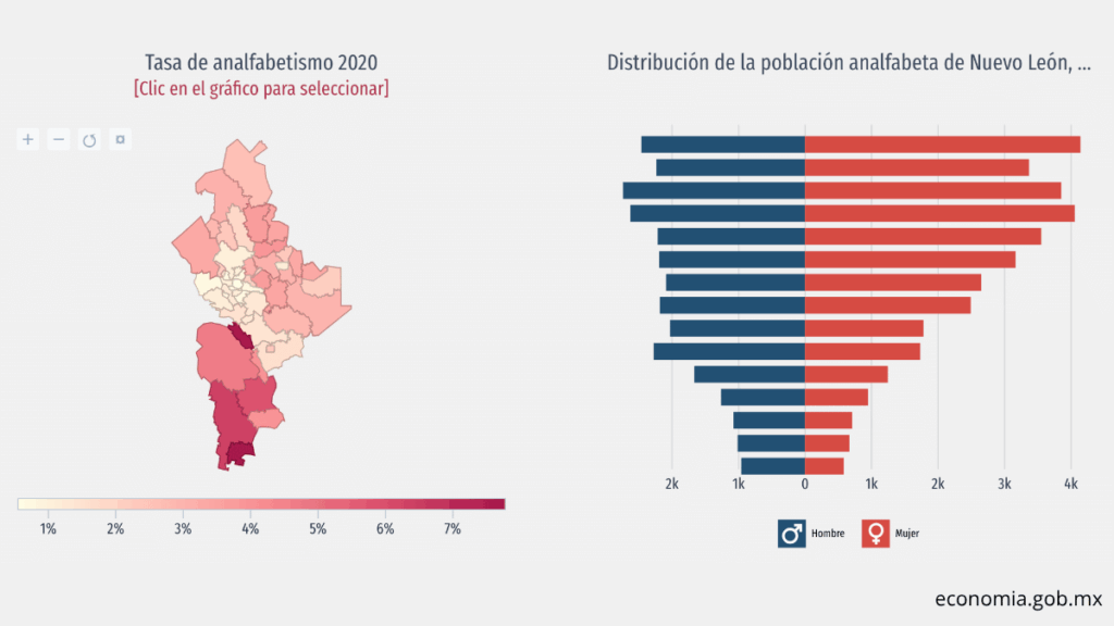 Miles De Personas No Saben Leer Ni Escribir En Nuevo León - Glen Facturero