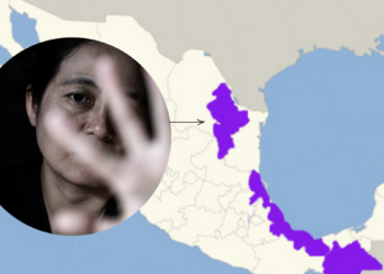 Ineptitud Oficial Frena Solución a Emergencias De Violencia De Género - Glen Facturero