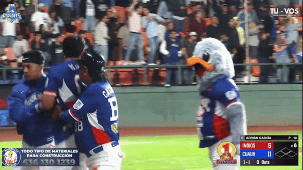 Pelea De La Liga De Béisbol - Glen Facturero