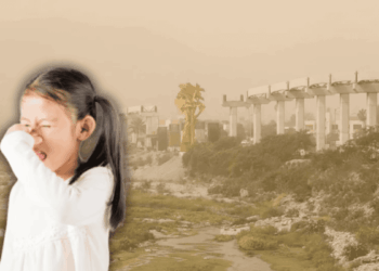 Quejas Por Malos Olores En Nuevo León - Glen Facturero
