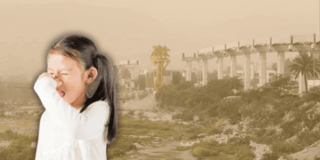 Quejas Por Malos Olores En Nuevo León - Glen Facturero