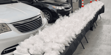 Decomisan 135 Kilos De Cristal En Nuevo León - Glen Facturero - Glen Facturero